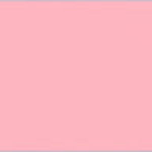 Meet your Posher, Alexia